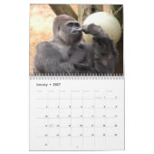 Calendrier Mural Les gorilles classent, des gorilles (Jan 2027)
