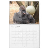 Calendrier Mural Les gorilles classent, des gorilles (Feb 2027)