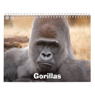 Calendrier Mural Les gorilles classent, des gorilles