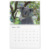 Calendrier Mural Les Koalas (Feb 2027)