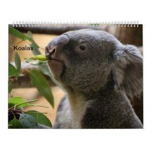 Calendrier Mural Les Koalas