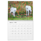 Calendrier Mural Les Loups du Canada (Calendrier) (Feb 2026)