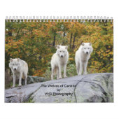 Calendrier Mural Les Loups du Canada (Calendrier) (Protection)