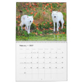 Calendrier Mural Les Loups du Canada (Calendrier) (Feb 2027)