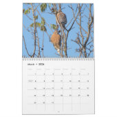 Calendrier Mural Les oiseaux classent 2012 (Mar 2026)