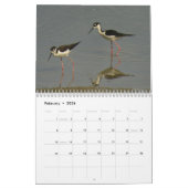 Calendrier Mural Les oiseaux classent 2012 (Feb 2026)
