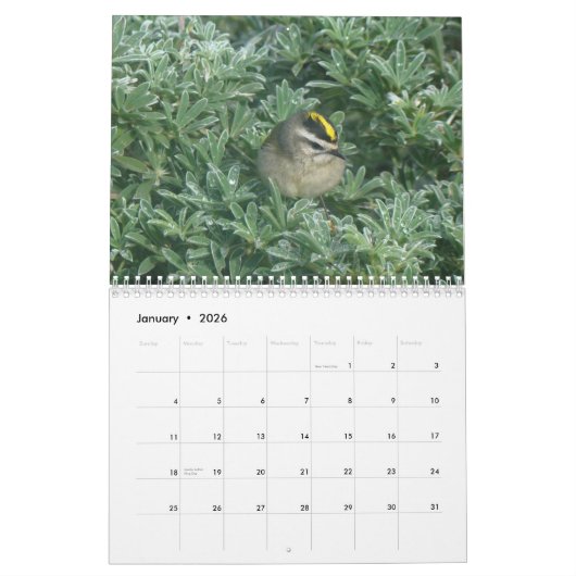 Calendrier Mural Les oiseaux classent 2012 (Jan 2026)