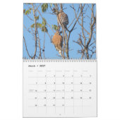 Calendrier Mural Les oiseaux classent 2012 (Mar 2027)