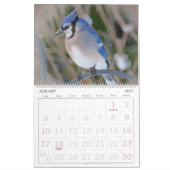 Calendrier Mural Les oiseaux classent avec de grands nombres (Jan 2027)