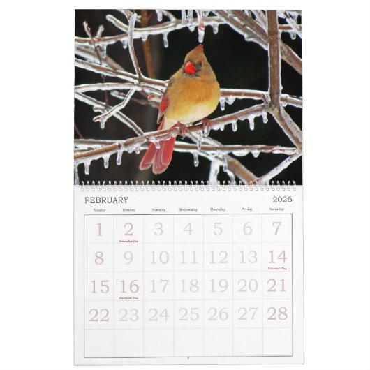 Calendrier Mural Les oiseaux classent avec de grands nombres (Feb 2026)