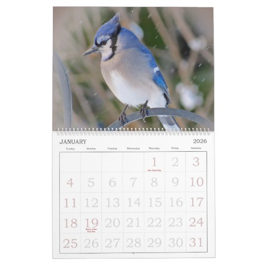 Calendrier Mural Les oiseaux classent avec de grands nombres (Jan 2026)
