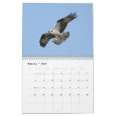 Calendrier Mural Les oiseaux de Forsythe - balbuzard (Feb 2026)