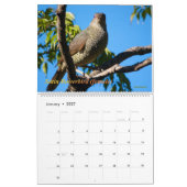 Calendrier Mural Les oiseaux de l'Australien Bush (Jan 2027)