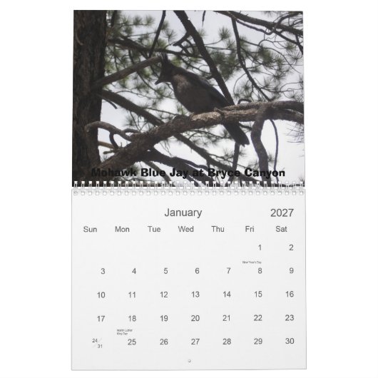 Calendrier Mural Les parcs nationaux de l'Ouest (Jan 2027)