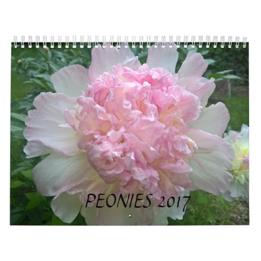 Calendrier Mural Les pivoines classent 2017 (Protection)
