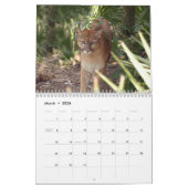 Calendrier Mural Les pumas classent, des pumas/pumas (Mar 2026)