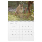 Calendrier Mural Les pumas classent, des pumas/pumas (Feb 2026)