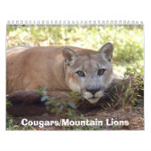 Calendrier Mural Les pumas classent, des pumas/pumas (Protection)