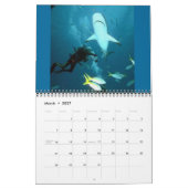 Calendrier Mural Les requins classent 2012 (Mar 2027)