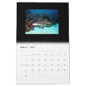 Calendrier Mural Les requins classent 2014 (Feb 2027)