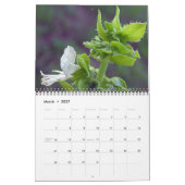 Calendrier Mural Les verts dans la nature (Mar 2027)