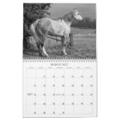 Calendrier Mural L'esprit du cheval (Mar 2027)