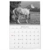 Calendrier Mural L'esprit du cheval (Mar 2026)