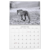 Calendrier Mural L'esprit du cheval (Jan 2026)