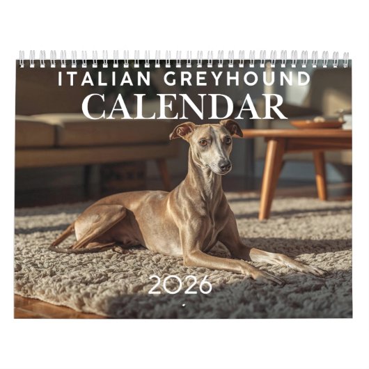 Calendrier mural Lévrier italien 2026 (Protection)