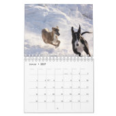 Calendrier Mural Lévriers (Jan 2027)