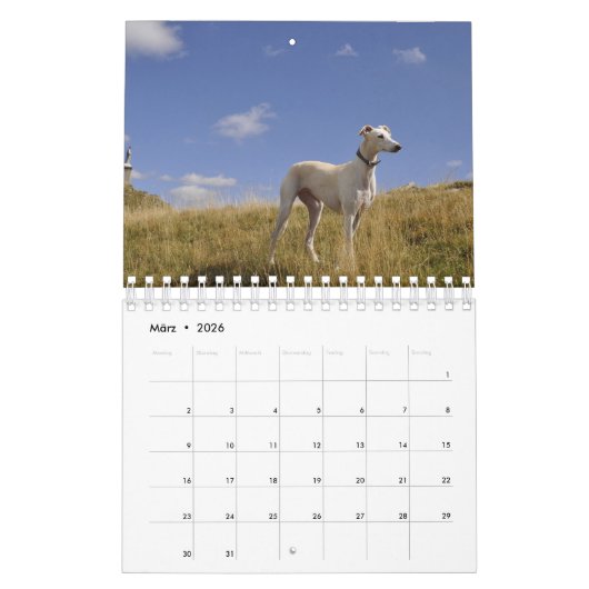 Calendrier Mural Lévriers (Mar 2026)