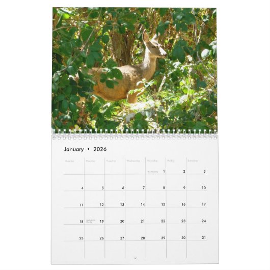 Calendrier Mural L'Idaho (Jan 2026)