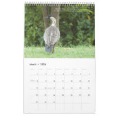 Calendrier Mural L'île des Jardins de Kauai Ancien Paradis (Mar 2026)