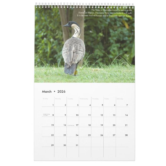 Calendrier Mural L'île des Jardins de Kauai Ancien Paradis (Mar 2026)