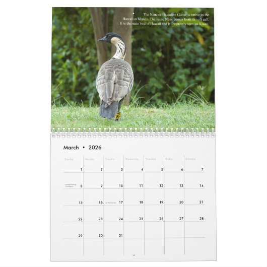 Calendrier Mural L'île des Jardins de Kauai Ancien Paradis (Mar 2026)