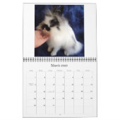 Calendrier Mural Lionhead Rabbits 2009-2010 (Mar 2026)