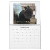 Calendrier Mural Lionhead Rabbits 2009-2010 (Feb 2026)