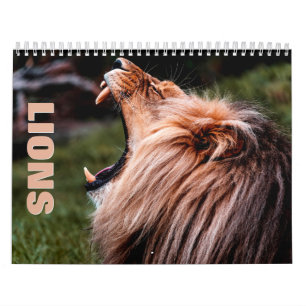 Calendrier mural Lions 2022