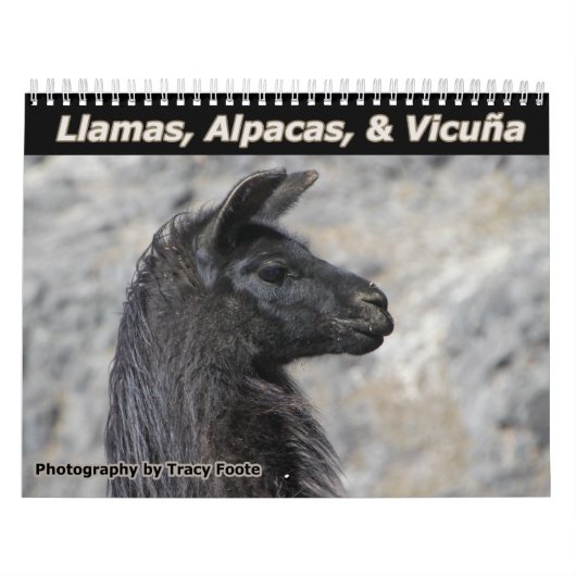 Calendrier Mural Llamas sauvages et Alpacas (Protection)