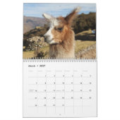 Calendrier Mural Llamas sauvages et Alpacas (Mar 2027)