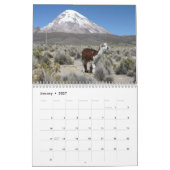 Calendrier Mural Llamas sauvages et Alpacas (Jan 2027)
