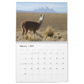 Calendrier Mural Llamas sauvages et Alpacas (Feb 2027)