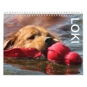 Calendrier Mural Loki (Protection)
