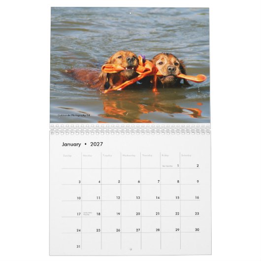 Calendrier Mural Loki (Jan 2027)