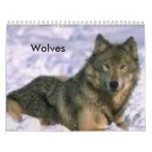 Calendrier Mural Loups (Protection)