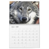 Calendrier Mural Loups (Mar 2027)