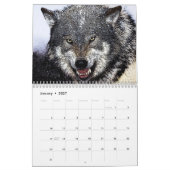 Calendrier Mural Loups (Jan 2027)