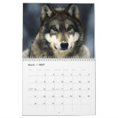 Calendrier Mural Loups - Animaux sauvages (Mar 2027)