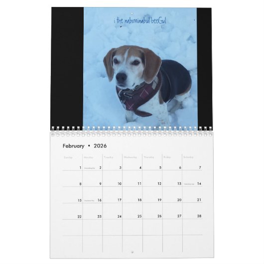 CALENDRIER MURAL LOVEMAX 2016 (Feb 2026)