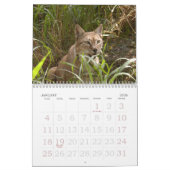 Calendrier Mural lynx sibérien 034, Sibérien Lynx (Jan 2026)